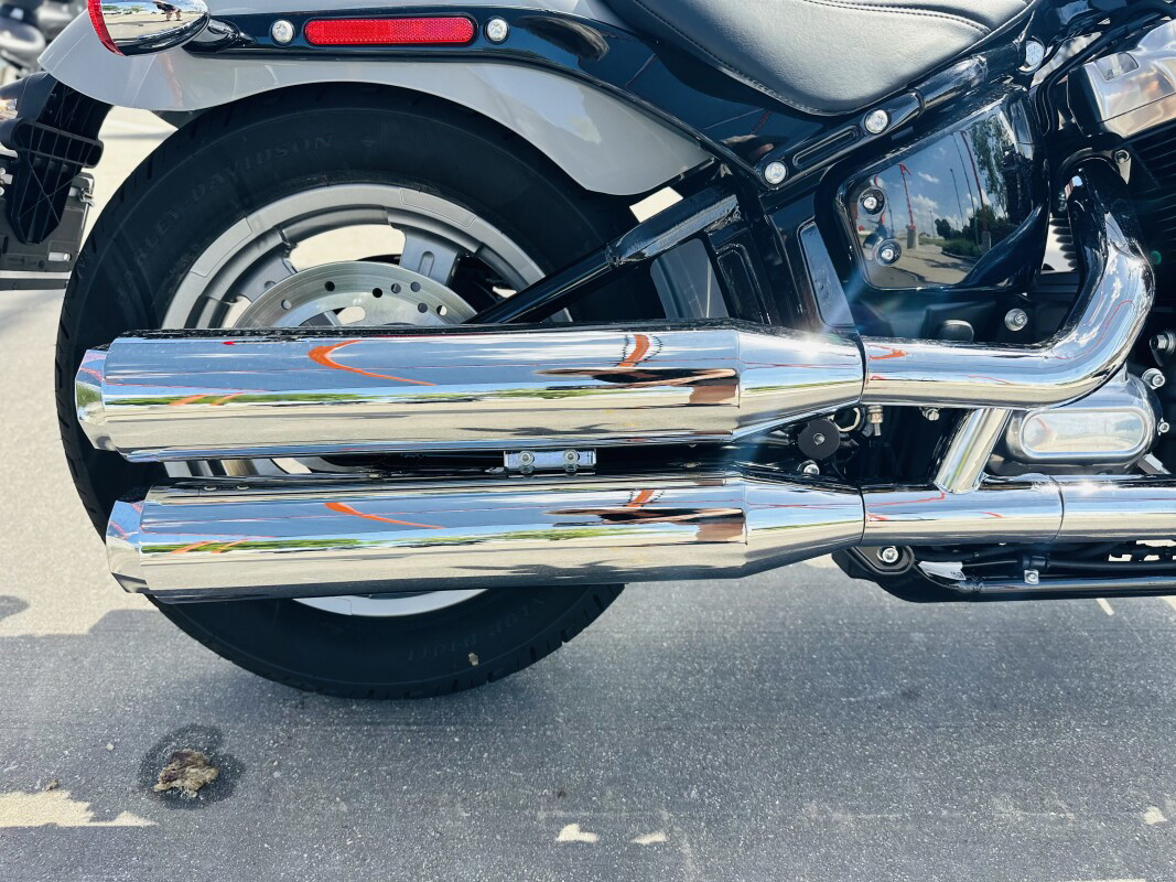 Softail® Standard