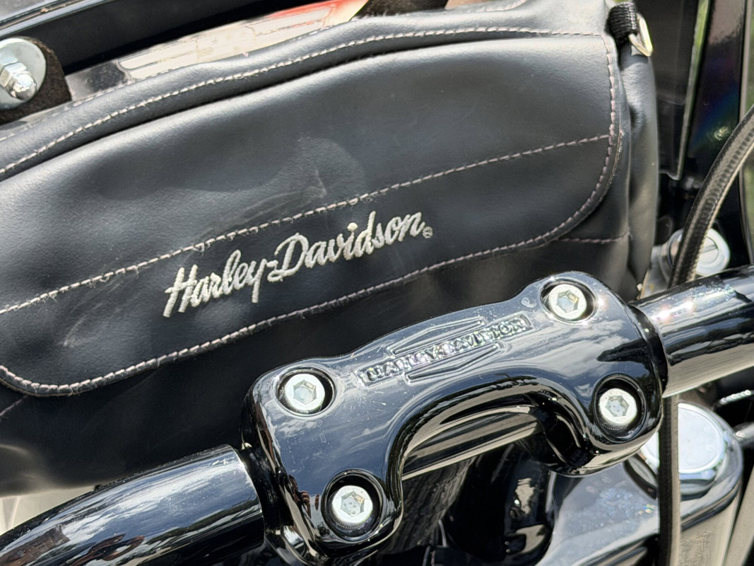 Softail® Slim® S
