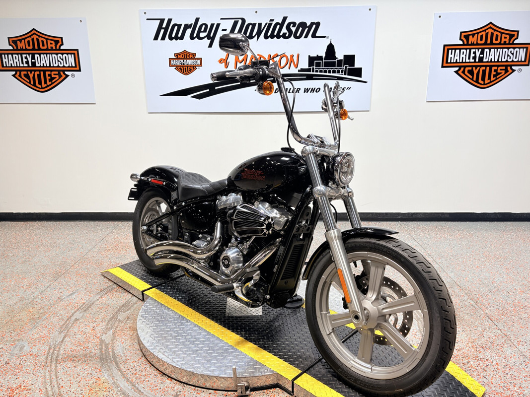 Softail® Standard
