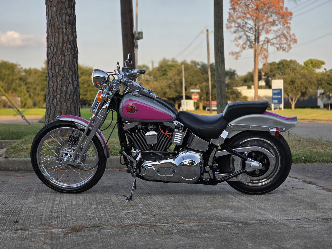 Springer® Softail®