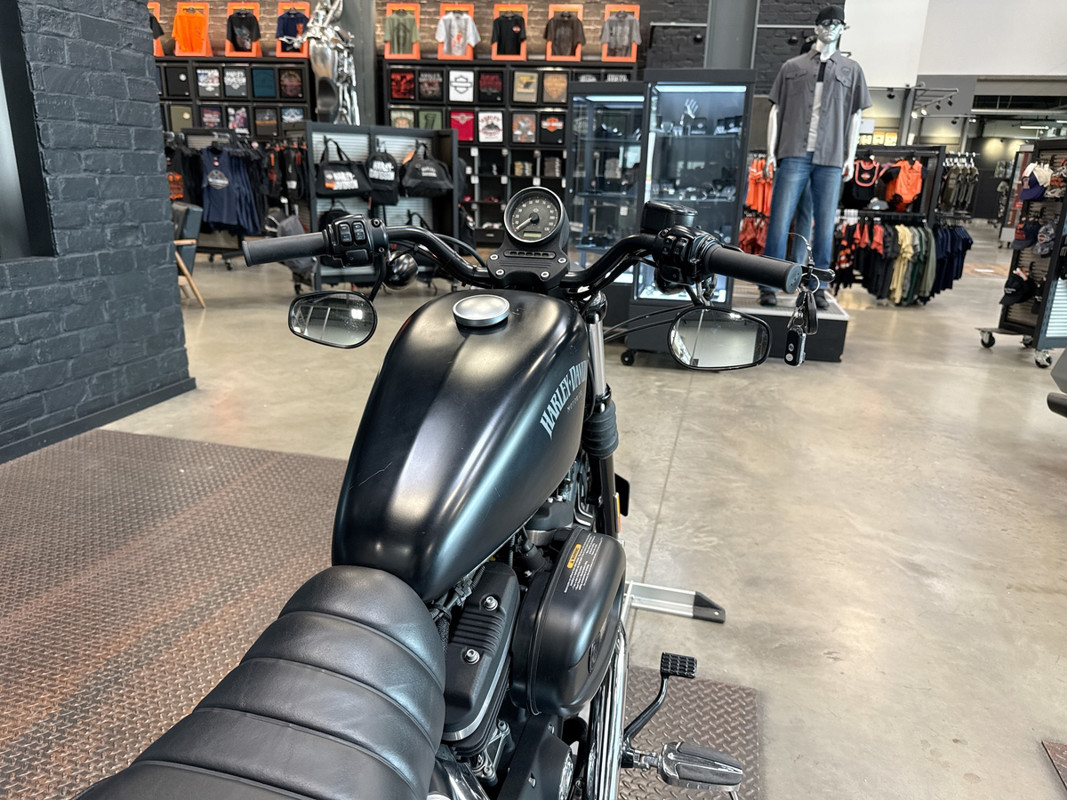 Sportster® Iron 883®