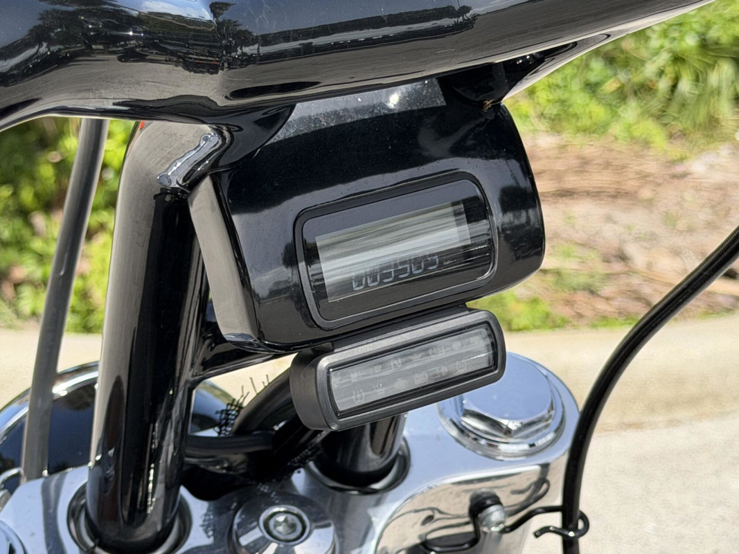 Softail® Standard