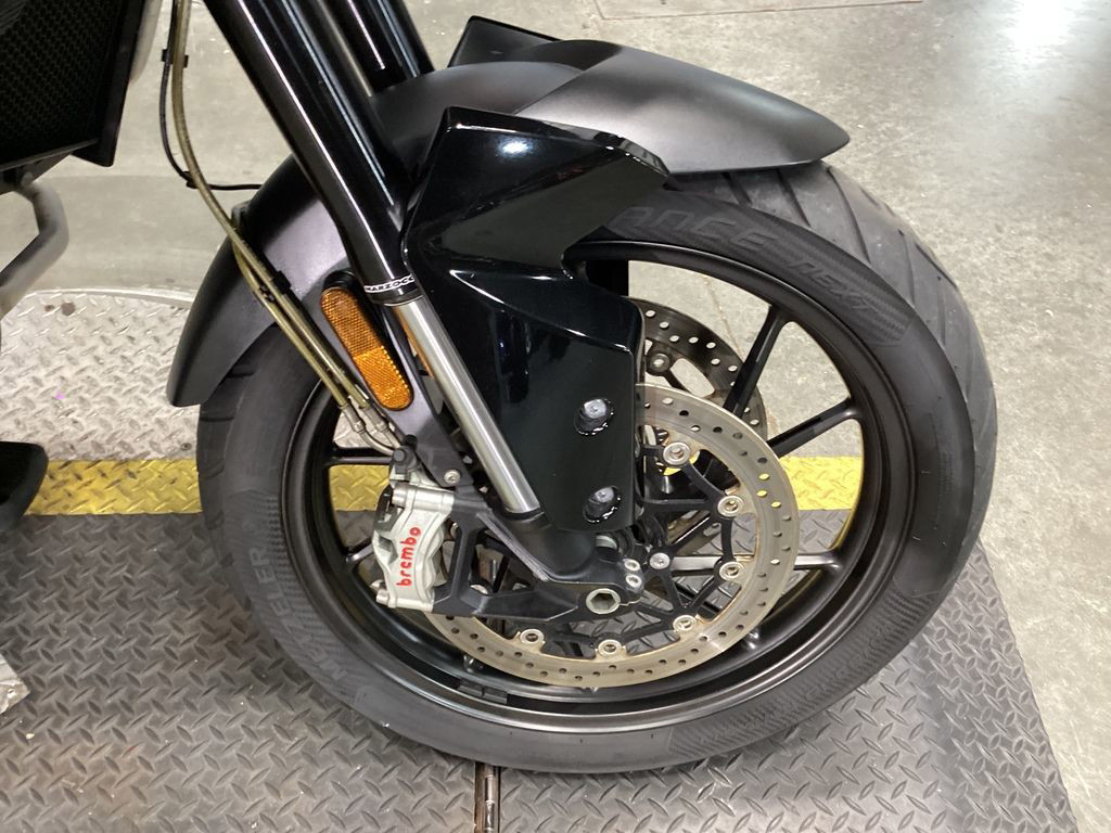 Tiger 900 GT Pro