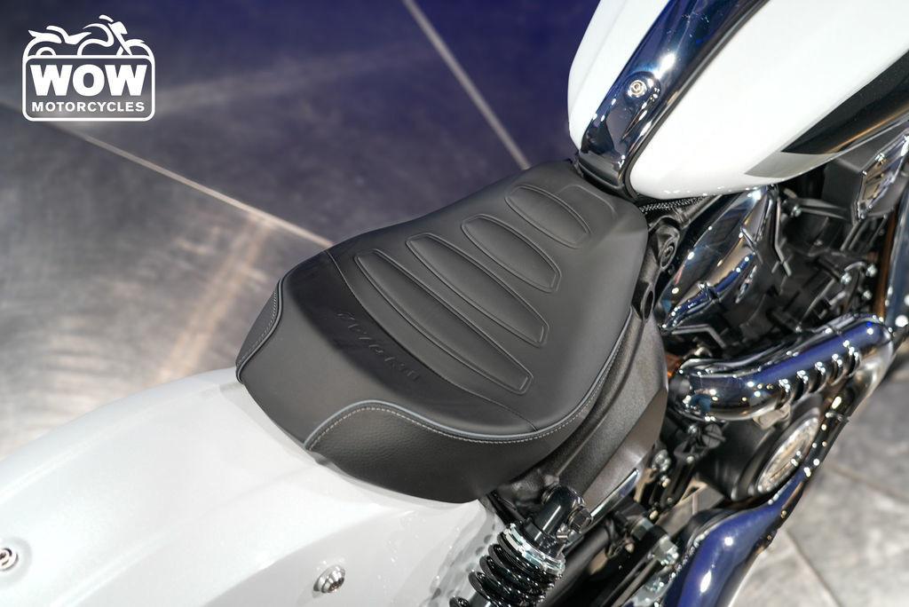 Scout Classic Limited