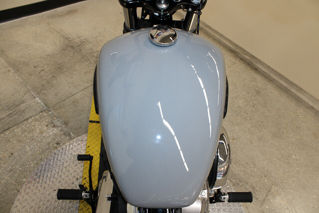 Street Bob®