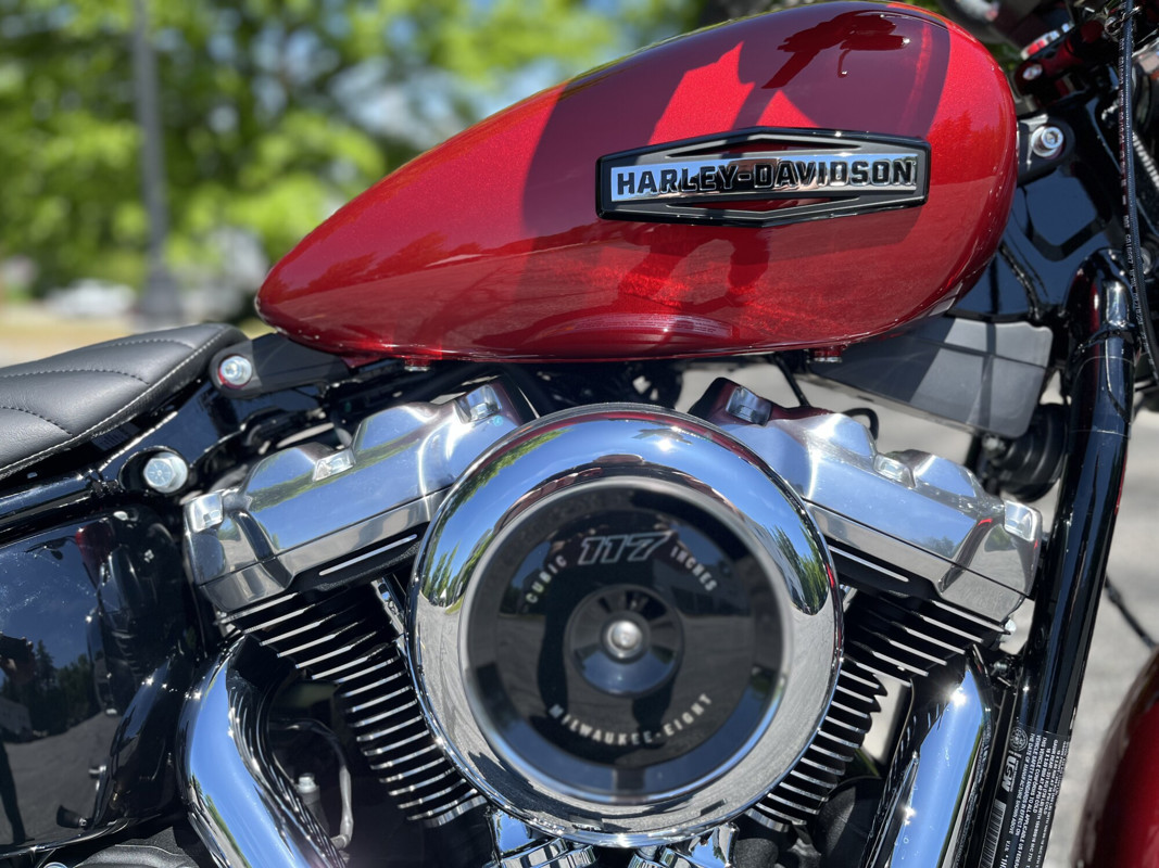 Street Bob®