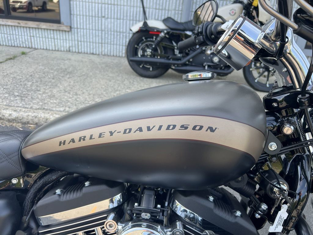 Sportster® 1200 Custom