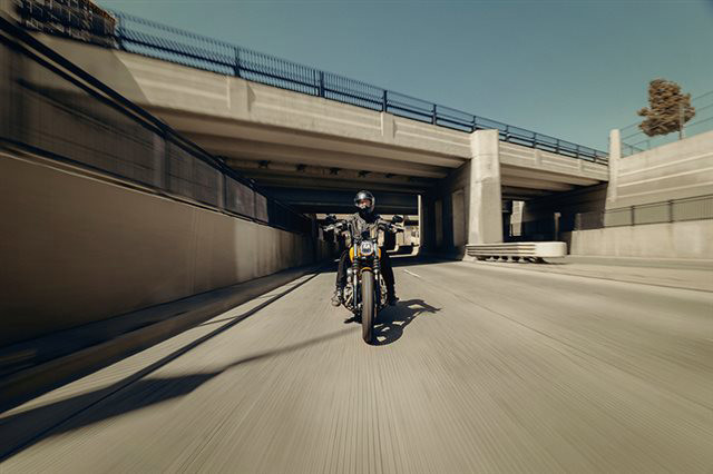 Street Bob®