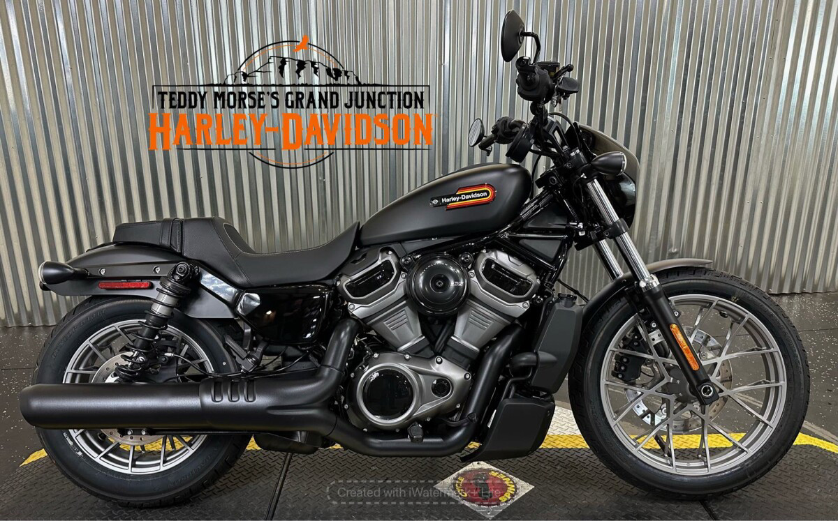 Nightster Special