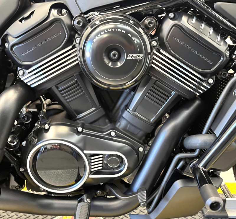 Nightster