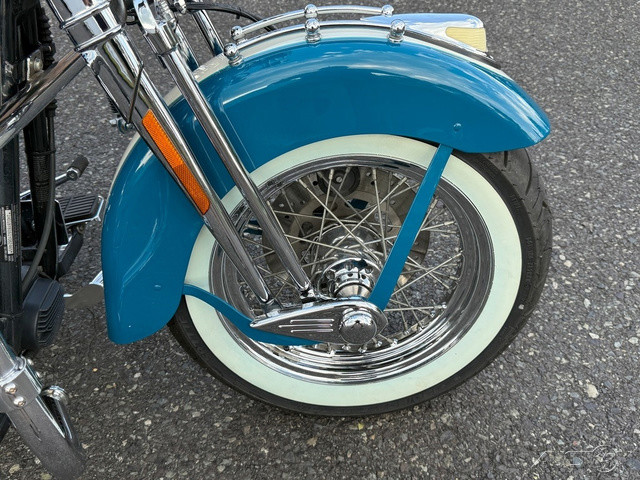 Springer® Softail®