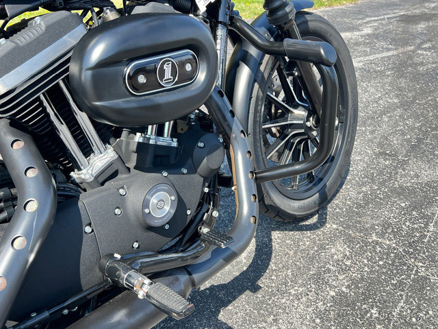 Sportster® Iron 883®