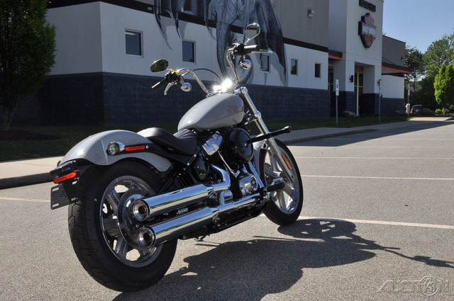 Softail® Standard