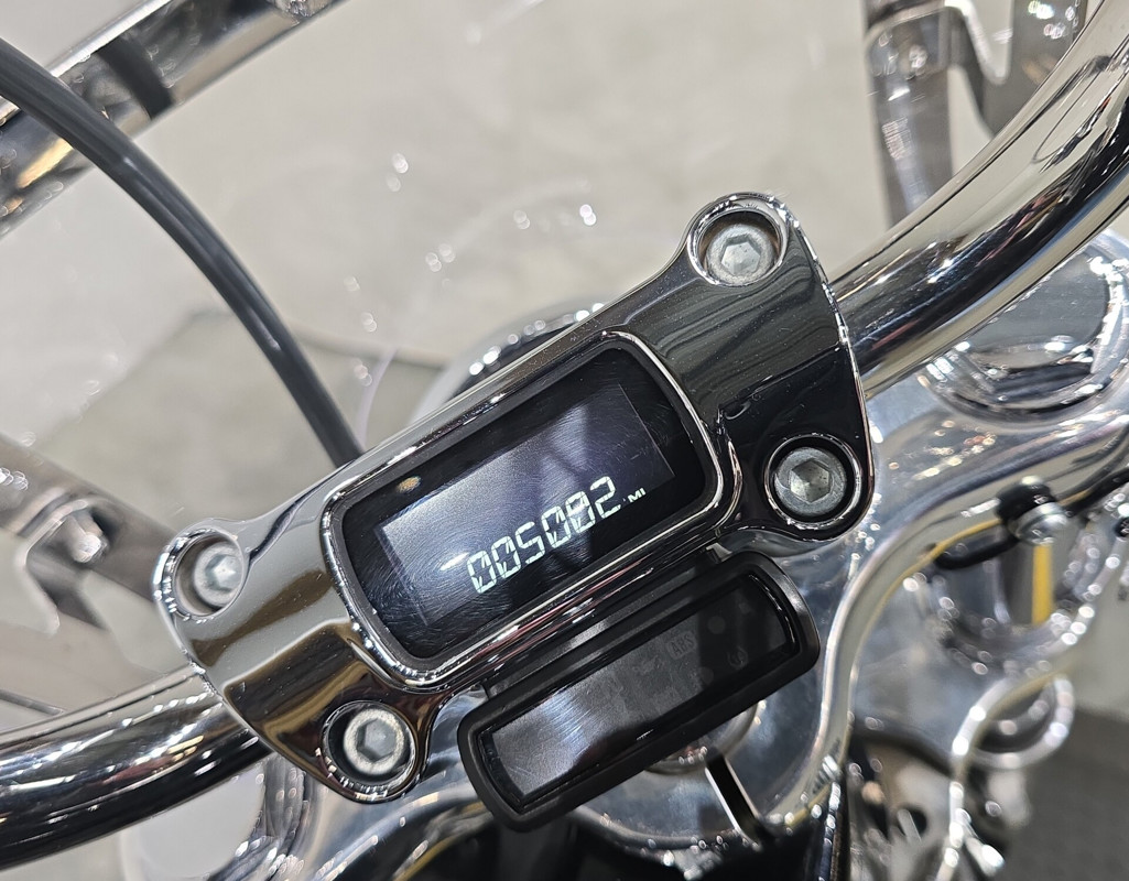 Softail® Standard