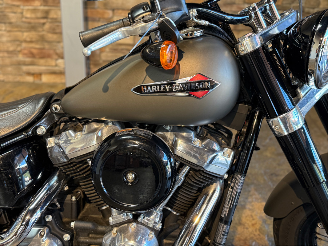 Softail® Slim®