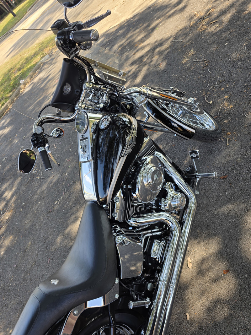 Springer® Softail® Anniversary