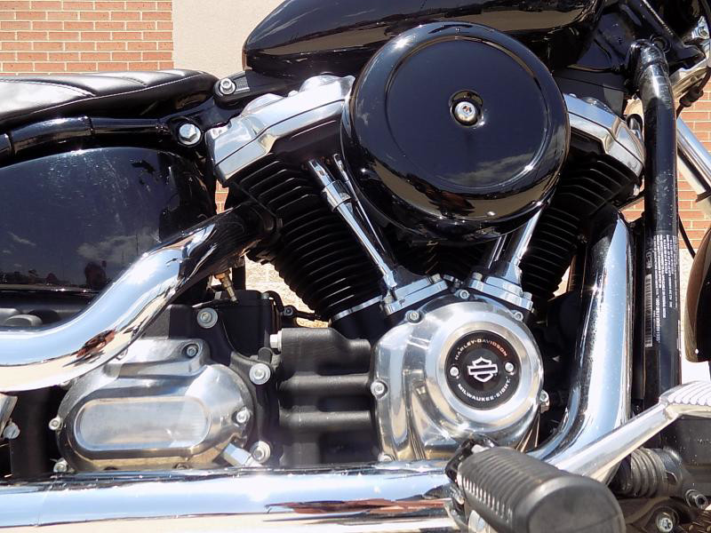 Softail® Standard