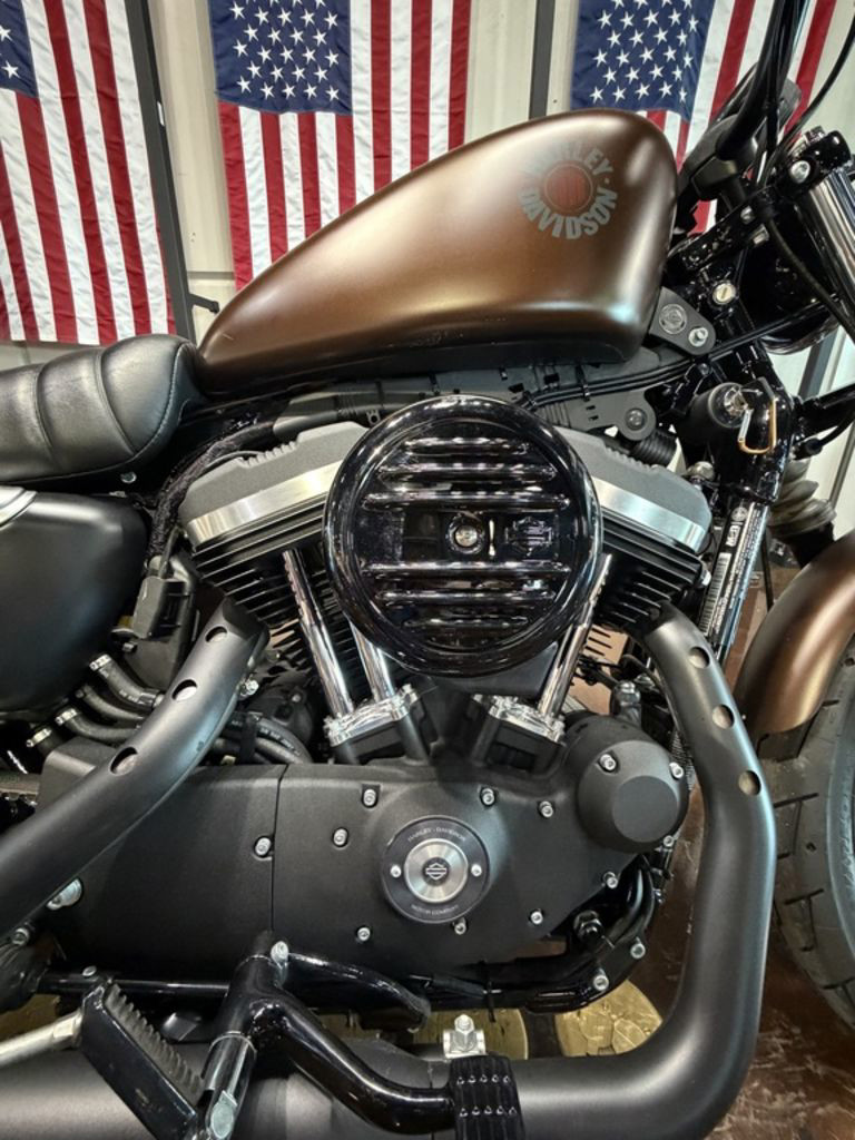 Sportster® Iron 883®