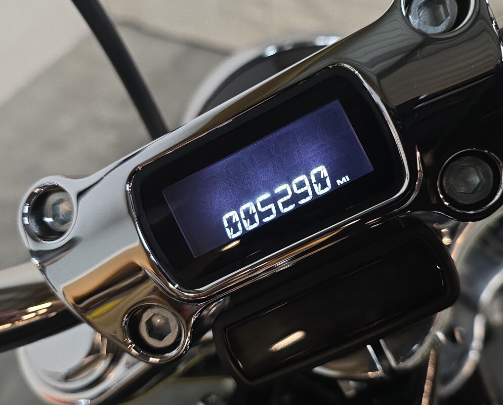 Softail® Standard