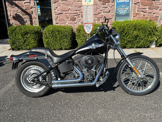Softail® Night Train®