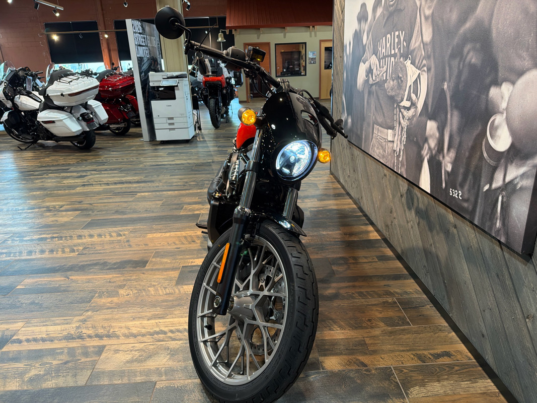 Nightster Special