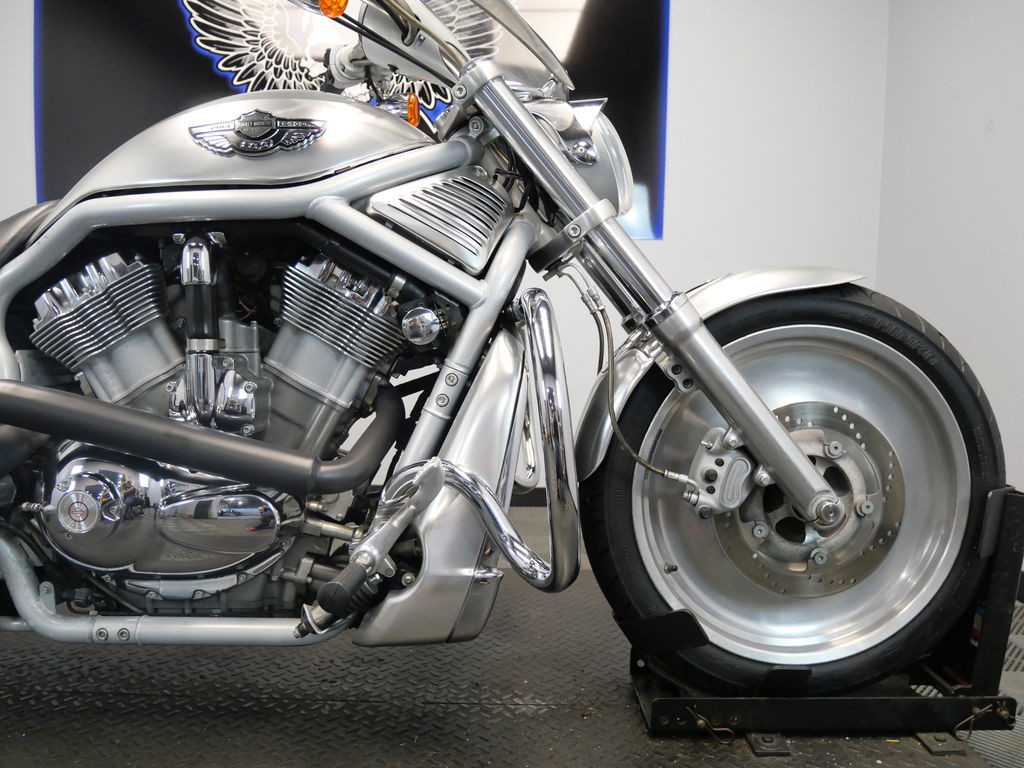 V-Rod®