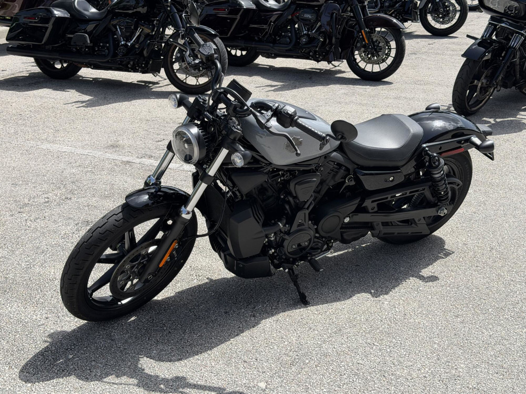 Nightster