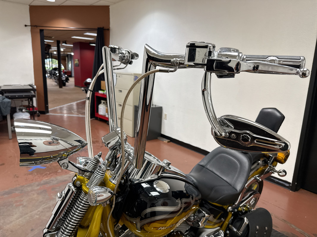 Screamin' Eagle® Softail® Springer®