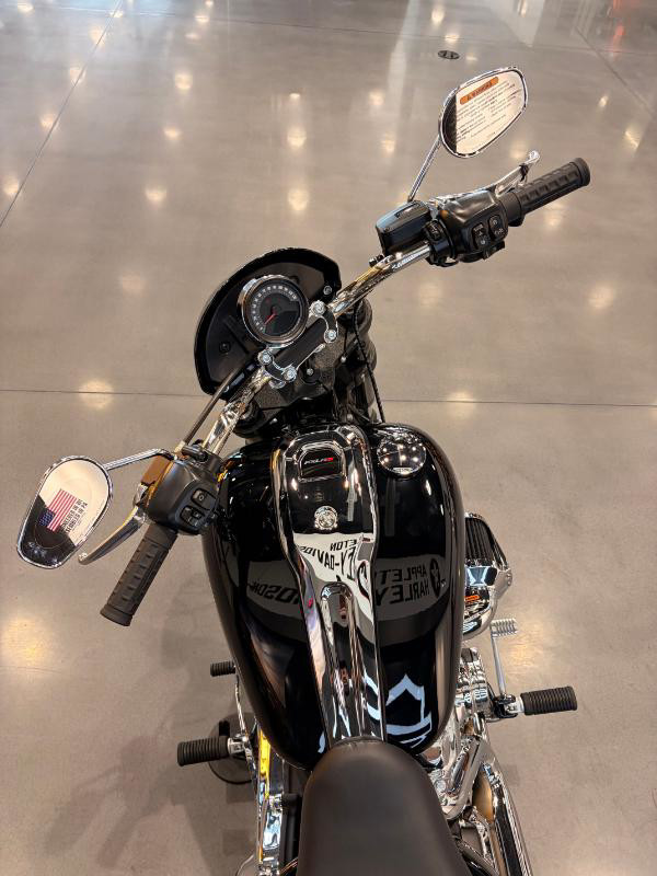 Low Rider® S