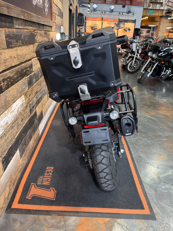 CVO® Pan America®