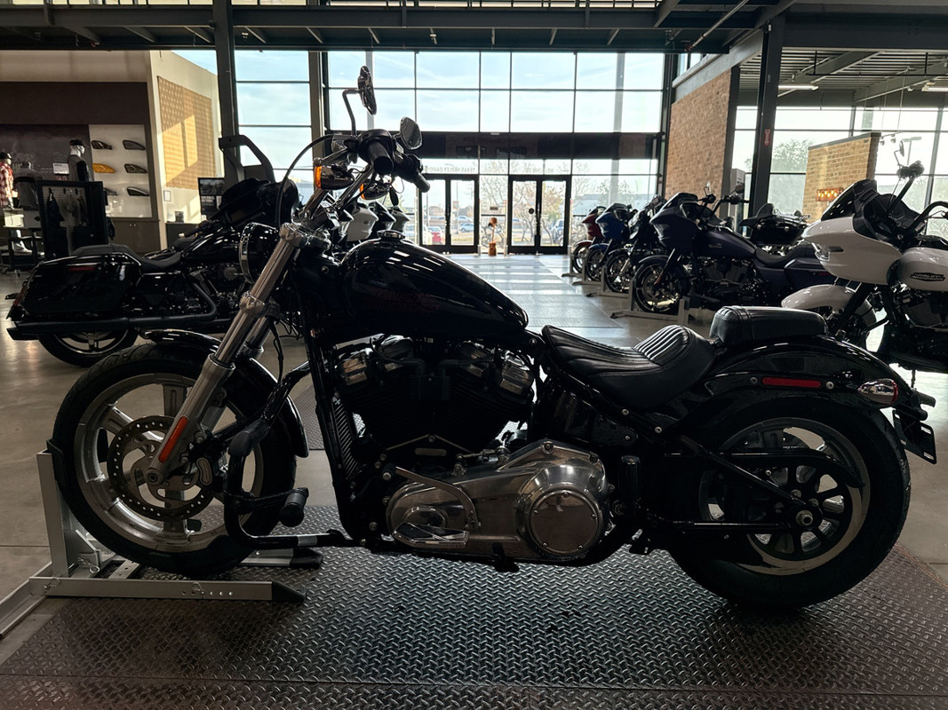 Softail® Standard