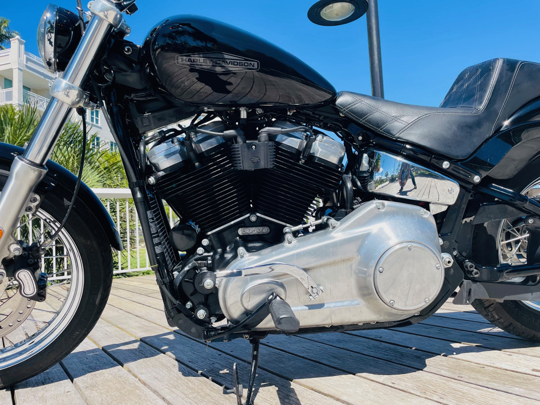 Softail® Standard