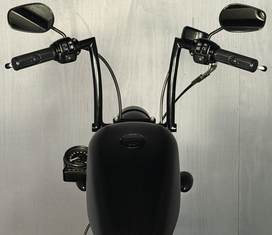 Iron 883®