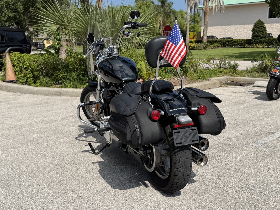 Softail® Standard