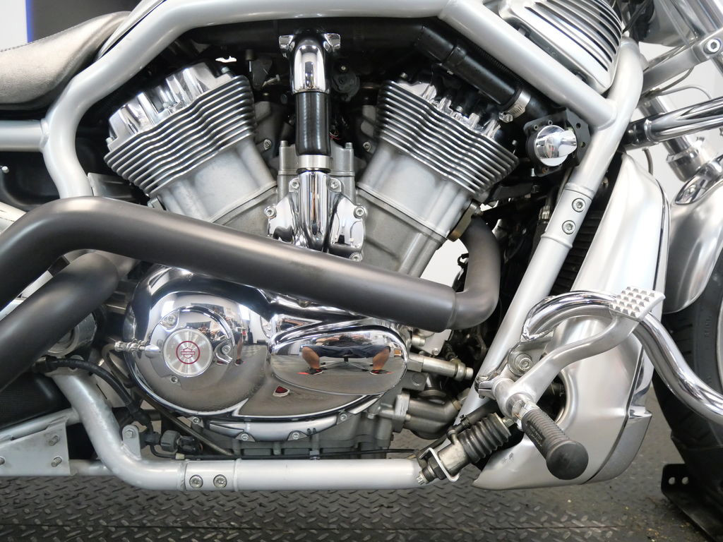 V-Rod®