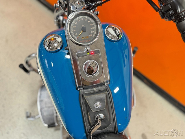 Springer® Softail®