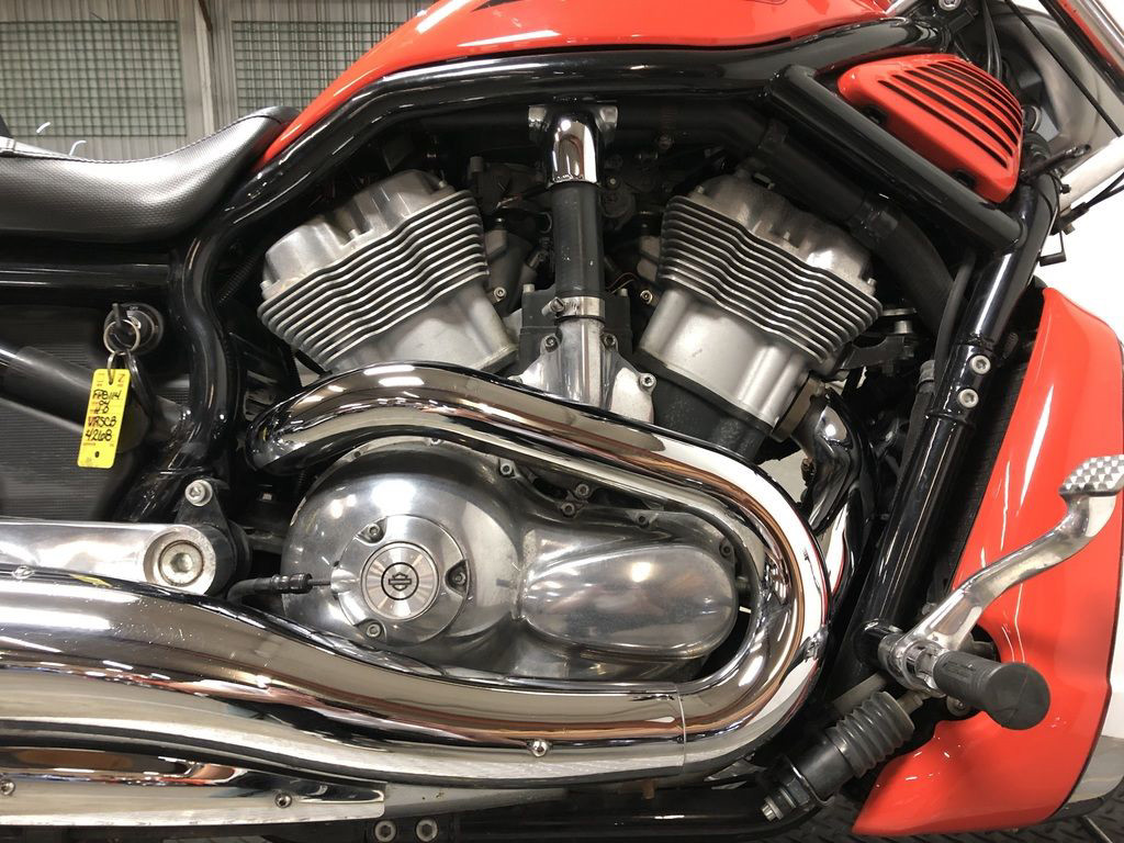 V-Rod® - Black Frame