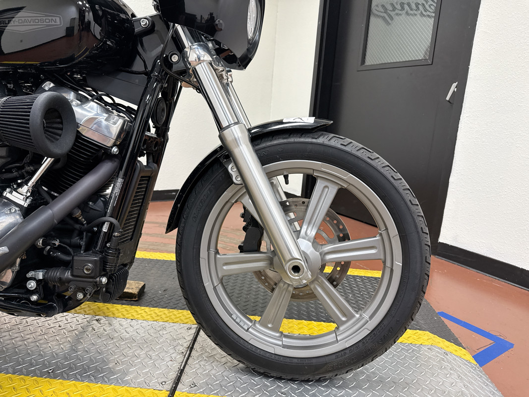 Softail® Standard