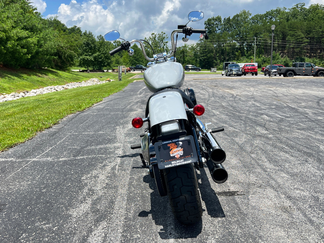 Softail® Standard