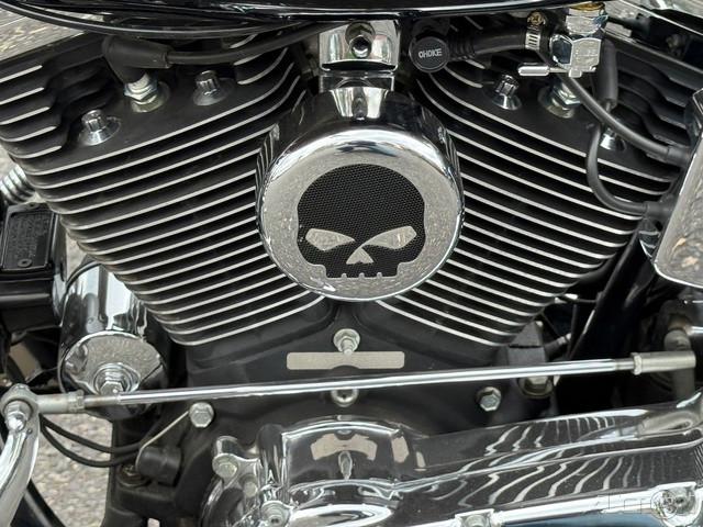 Softail® Custom