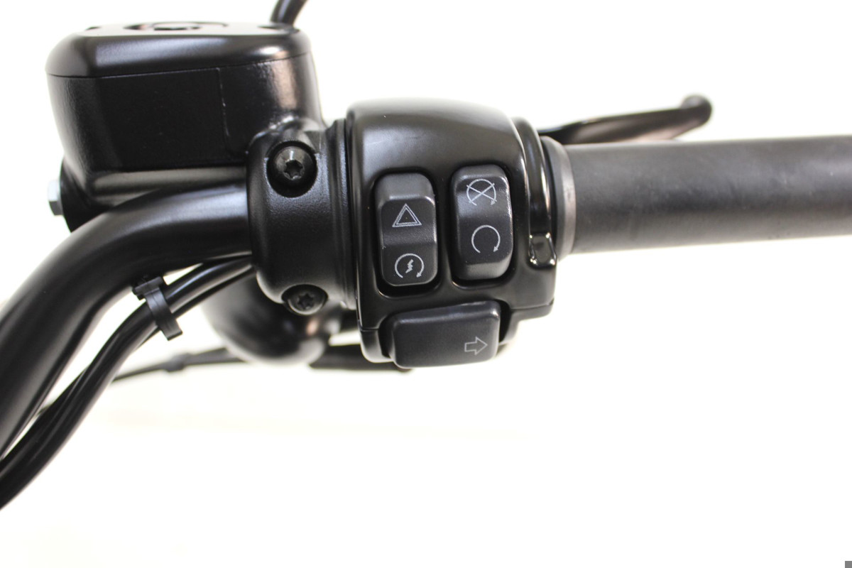 Sportster® Iron 883®