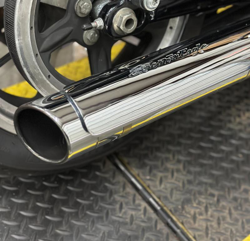 Sportster® 1200 Low