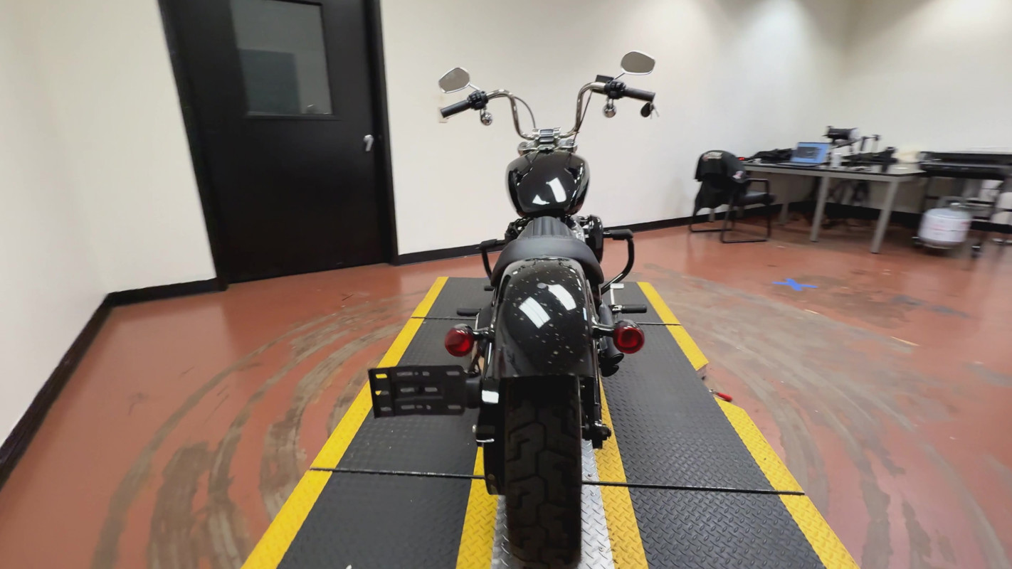 Softail® Standard