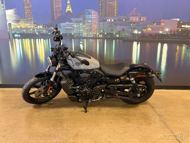 Nightster
