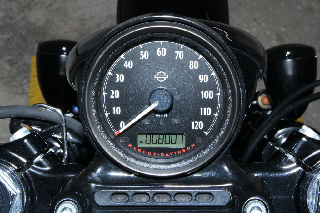 Sportster® Forty-Eight®