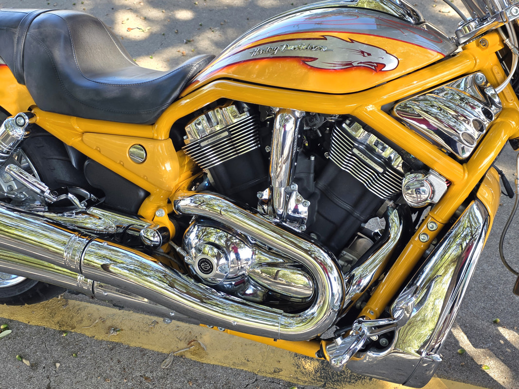 Screamin'  Eagle® V-Rod®