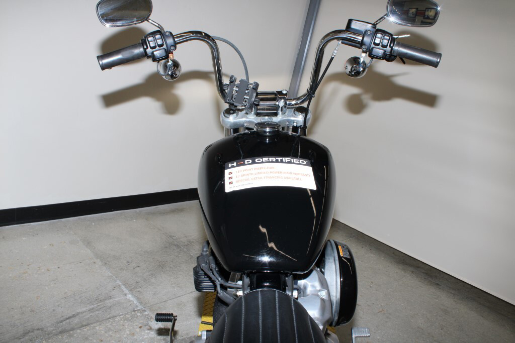 Softail® Standard