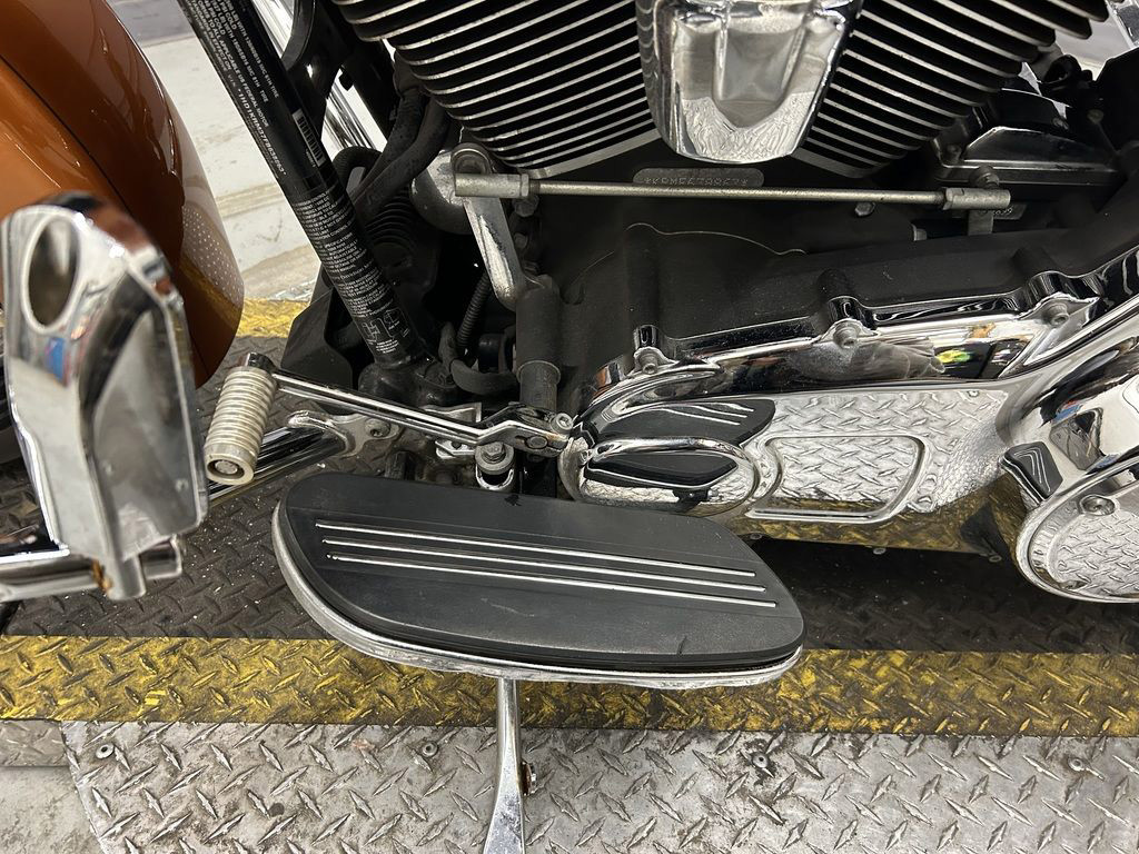 Street Glide® Special