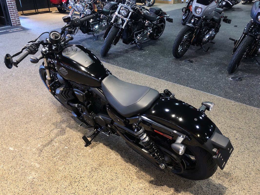 Nightster
