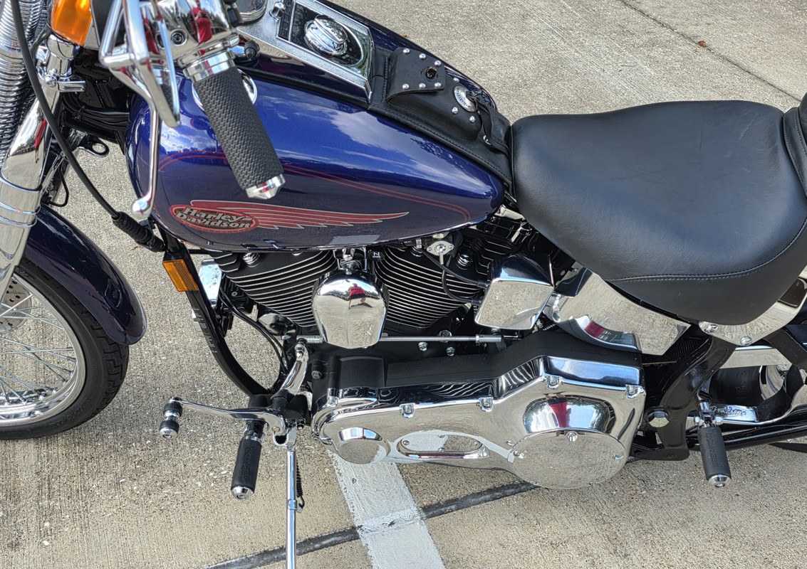 Springer® Softail®